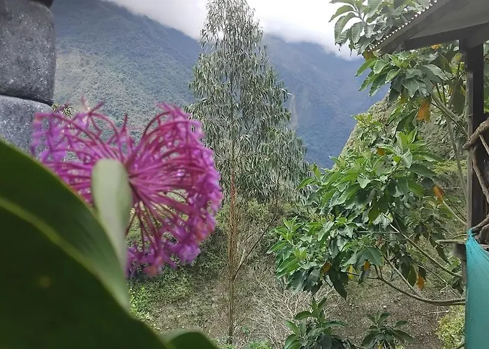 Salkantay Chawllay *